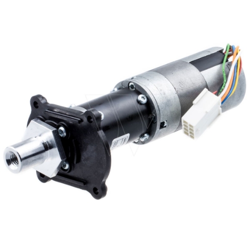 PictureAltAttribute - 544907003-jpg